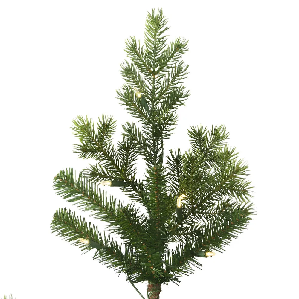 12' x 85" Eagle Fraser Full Artificial Christmas Tree Warm White Dura-lit LED