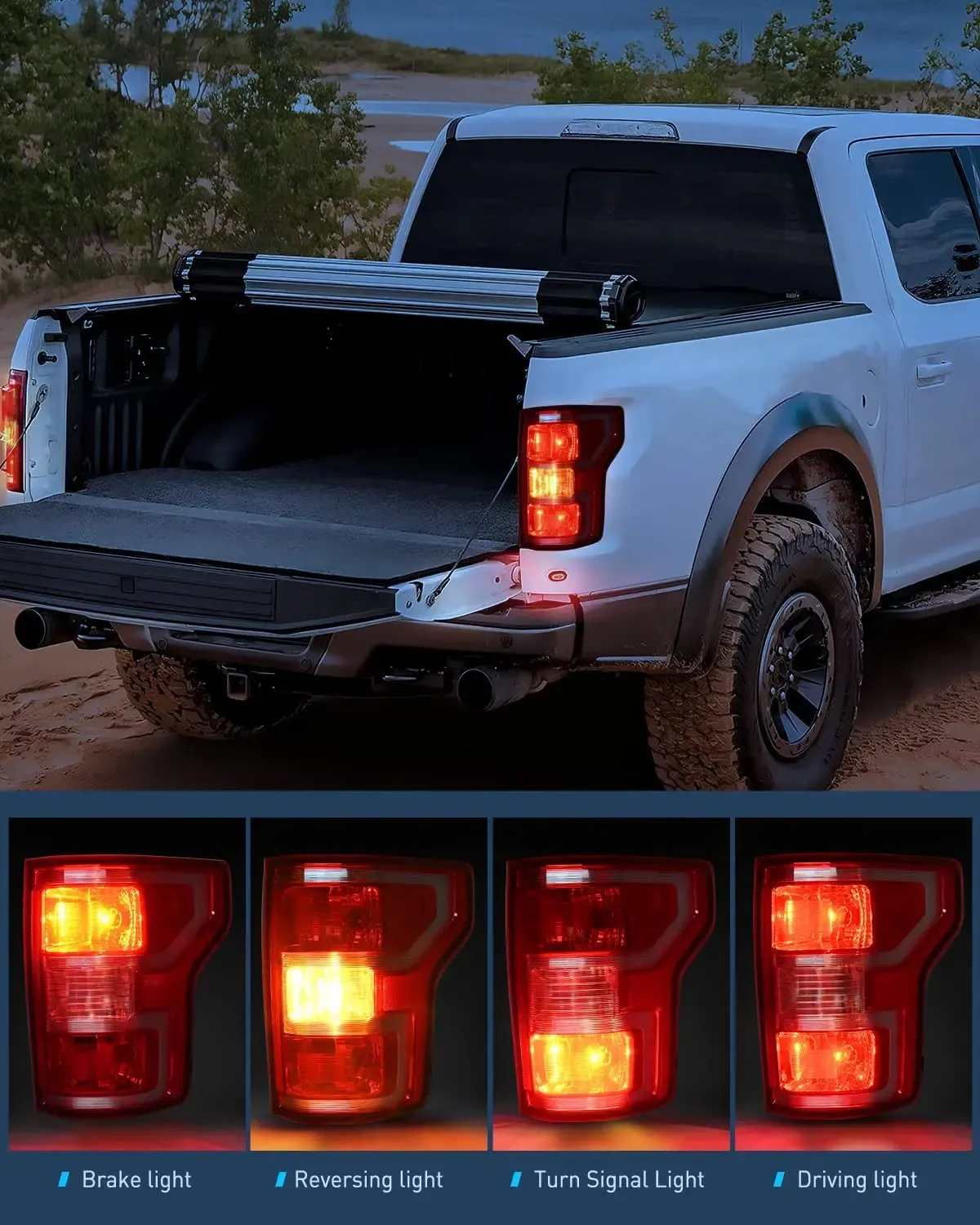 2018-2020 Ford F150 Tail light Assembly Rear Lamp Replacement OE Style Red Housing with Bulbs and Harness Passenger Side