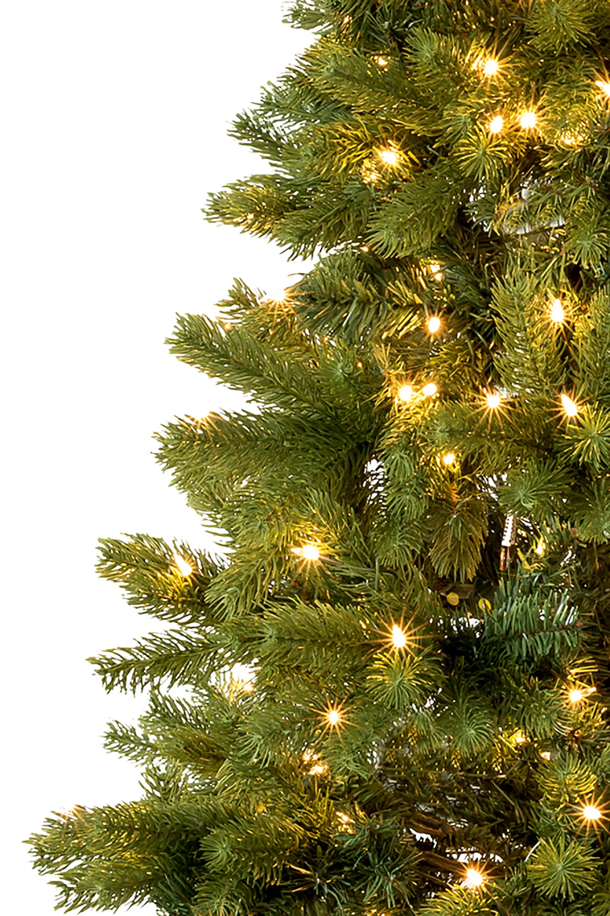 6' Prelit Nobel Fir Christmas Tree with Warm White Lights