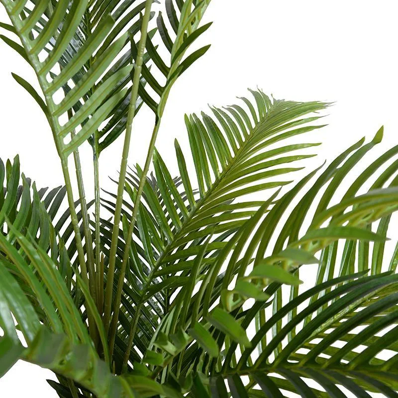 Areca Palm Tree 8'