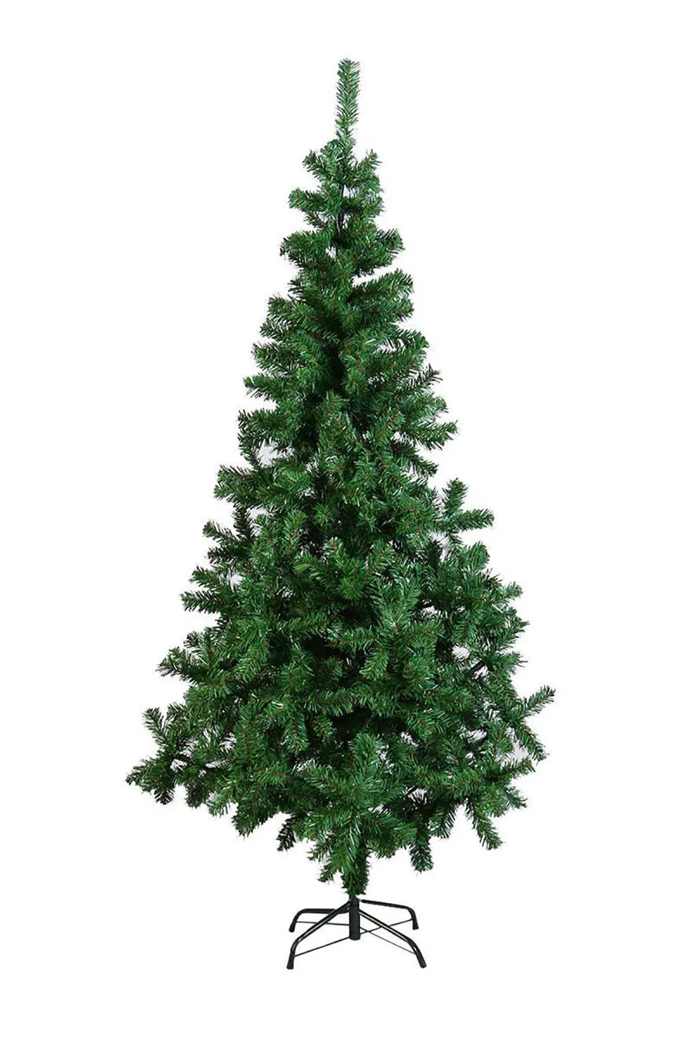 Classic Canadian Pine Tree
