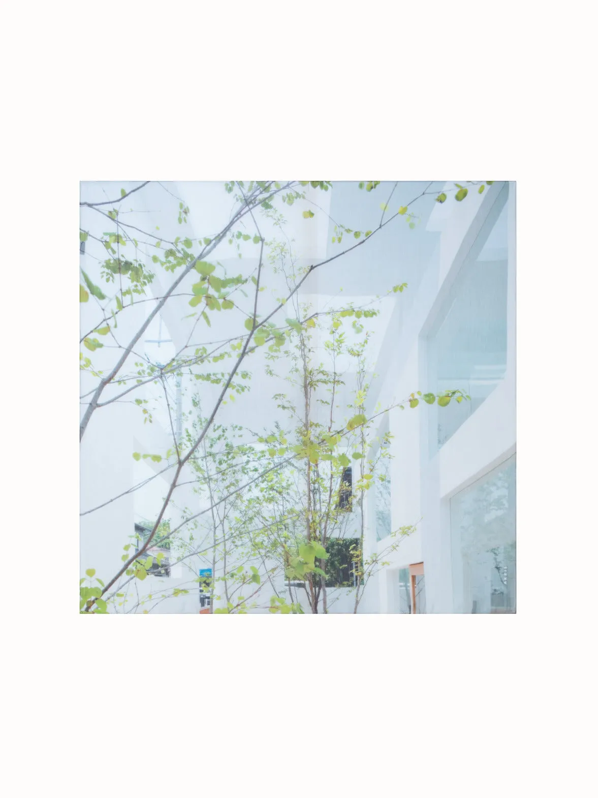 Cotton Silk Scarf with House N Trees Print