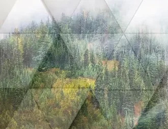Dimensional Forest Mural Wallpaper