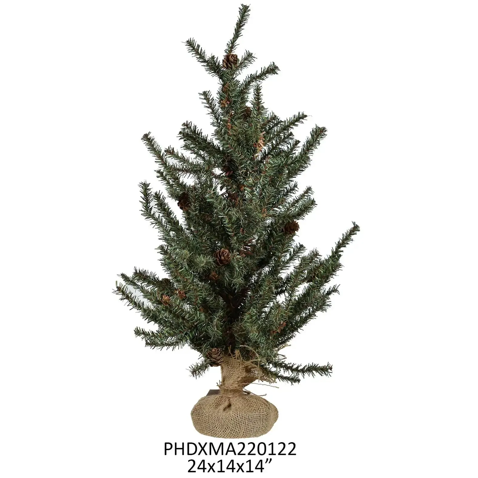 Douglas Fir Seedling Tree