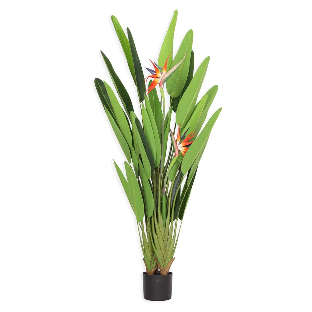Faux Tropical Birds of Paradise Strelitzia Plant - 160cm