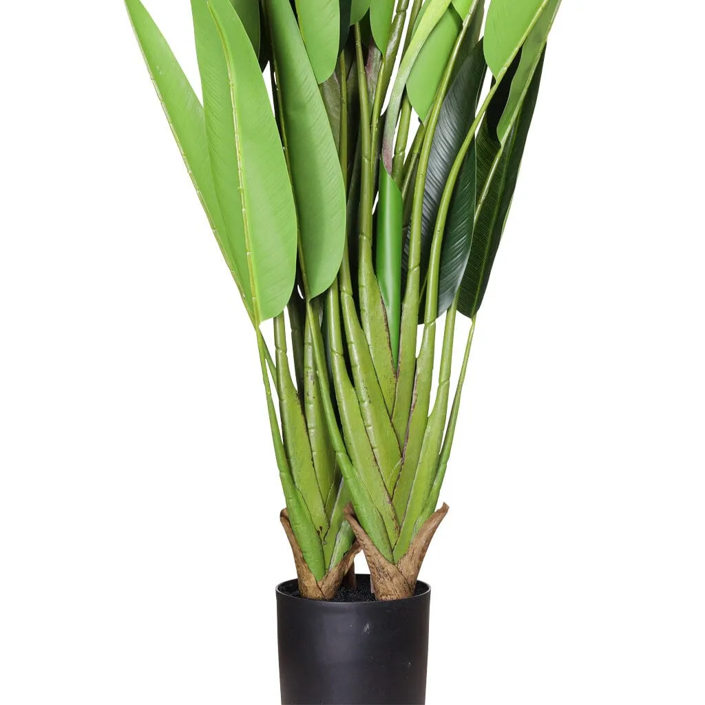 Faux Tropical Birds of Paradise Strelitzia Plant - 160cm