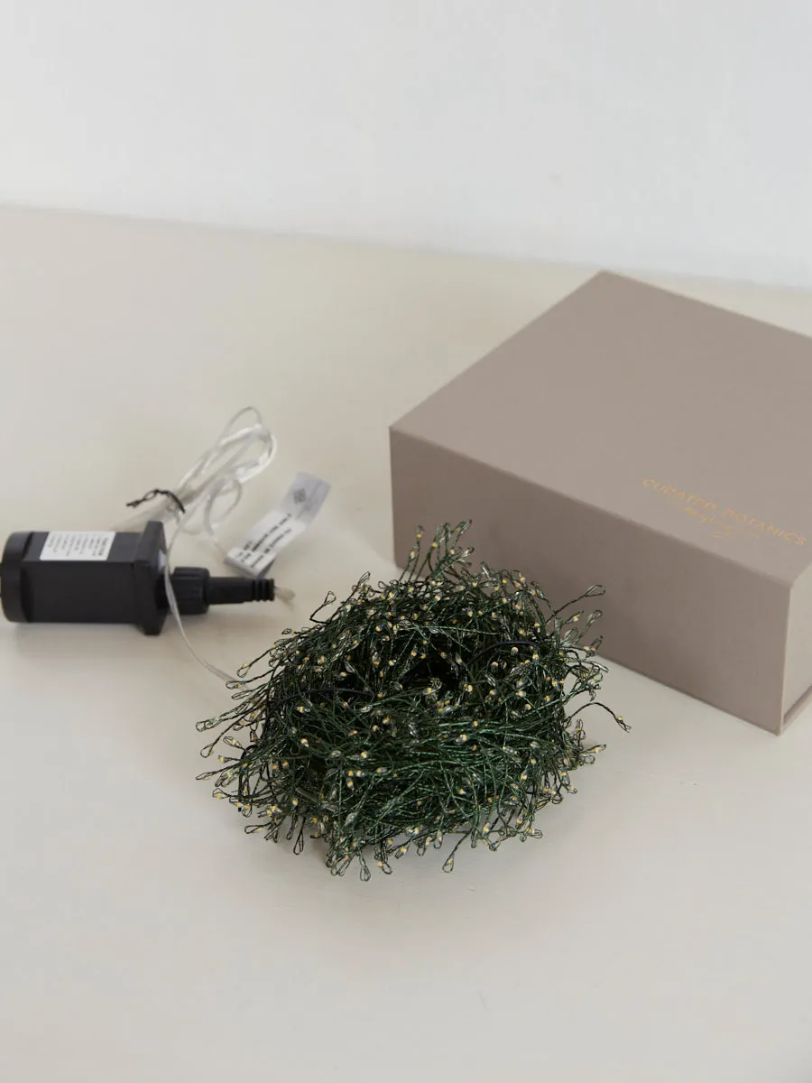 LED Plug-in Green Wire Seed Fairy Lights - 15m
