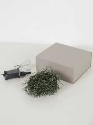 LED Plug-in Green Wire Seed Fairy Lights - 15m